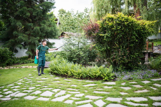 Best Local Pest Control Services  in Euharlee, GA