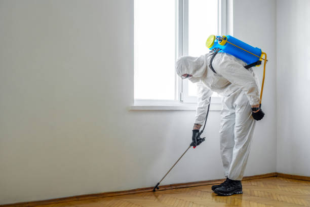 Best Termite Control Services  in Euharlee, GA