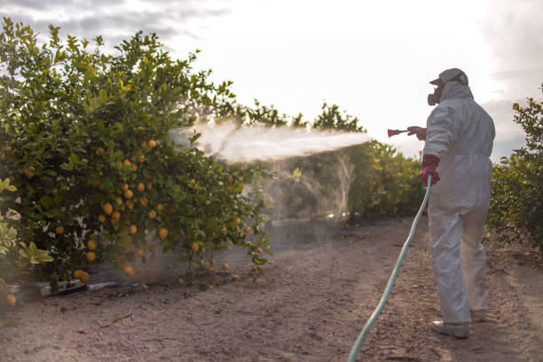 Best Pest Prevention Services  in Euharlee, GA