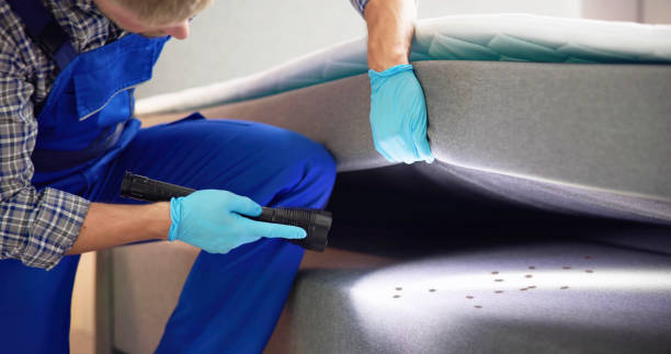 Best Emergency Pest Control  in Euharlee, GA